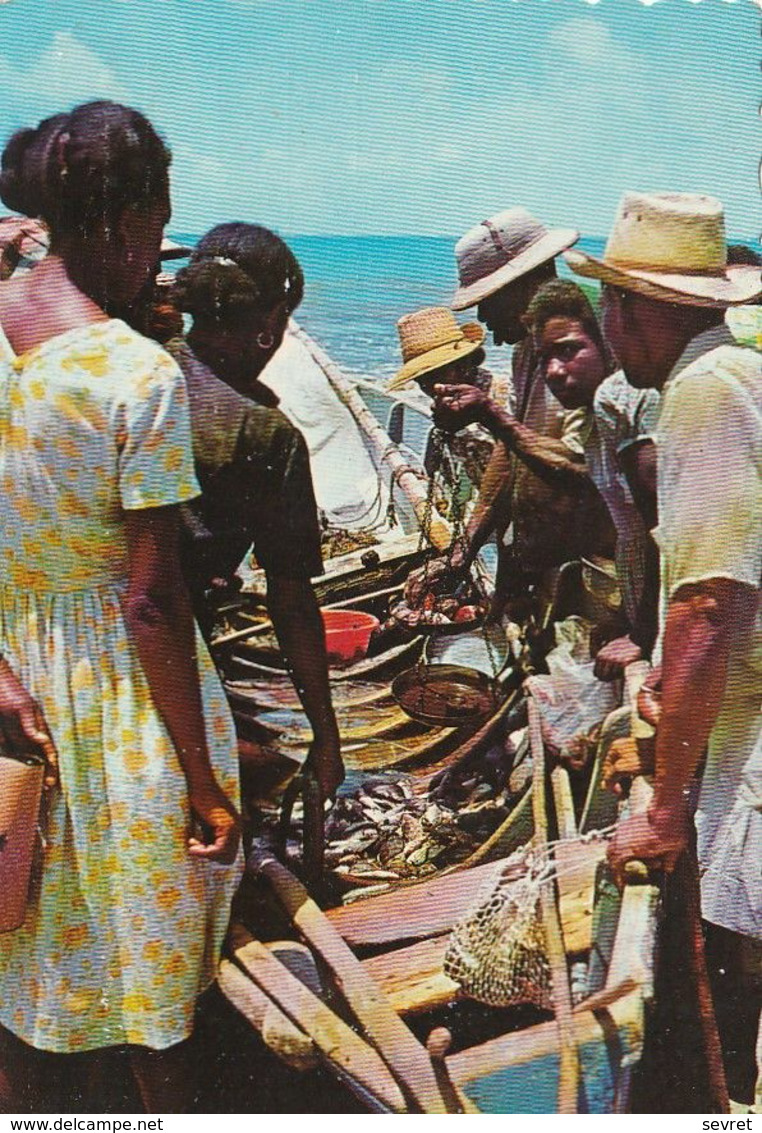 THE SUNNY CARIBBEAN. - Native Fish Market - Autres & Non Classés