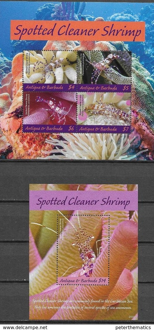 ANTIGUA AND BARBUDA, 2020, MNH, MARINE LIFE, SHRIMPS, SPOTTED CLEANER SHRIMP, SHEETLET+S/SHEET, HIGH FV, NICE! - Crustaceans