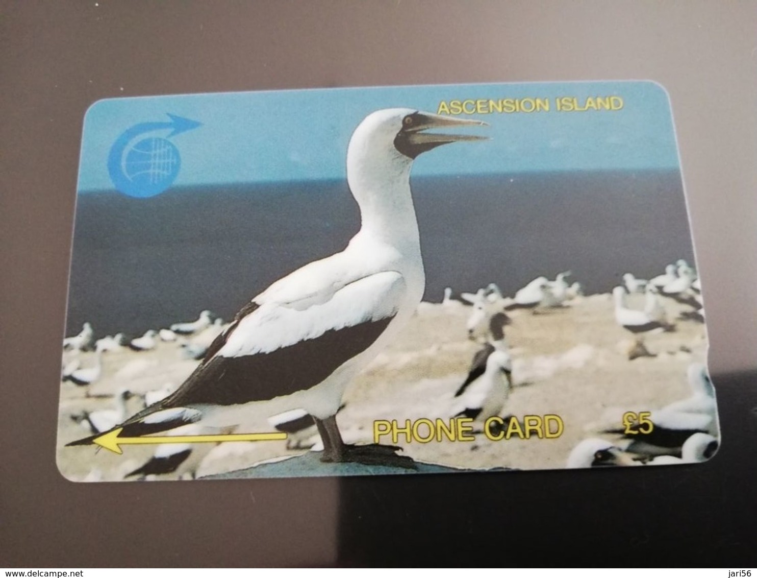 ASCENSION ISLAND   5 Pound Bird  White BOOBY BIRD 4CASA    MINT Old  Logo C&W **2951** - Isole Ascensione