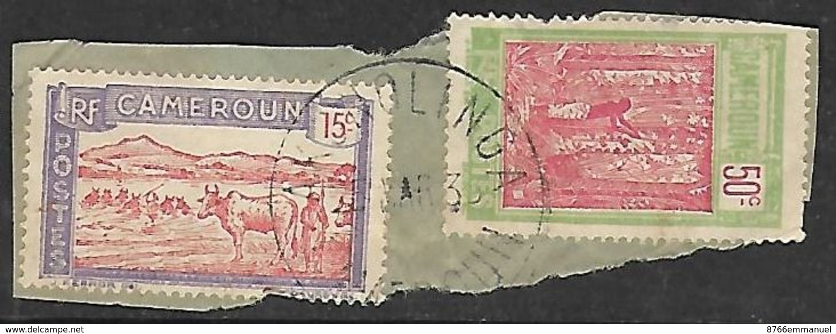 CAMEROUN N°119 Et 134   Belle Oblitération De Akonolinga - Used Stamps