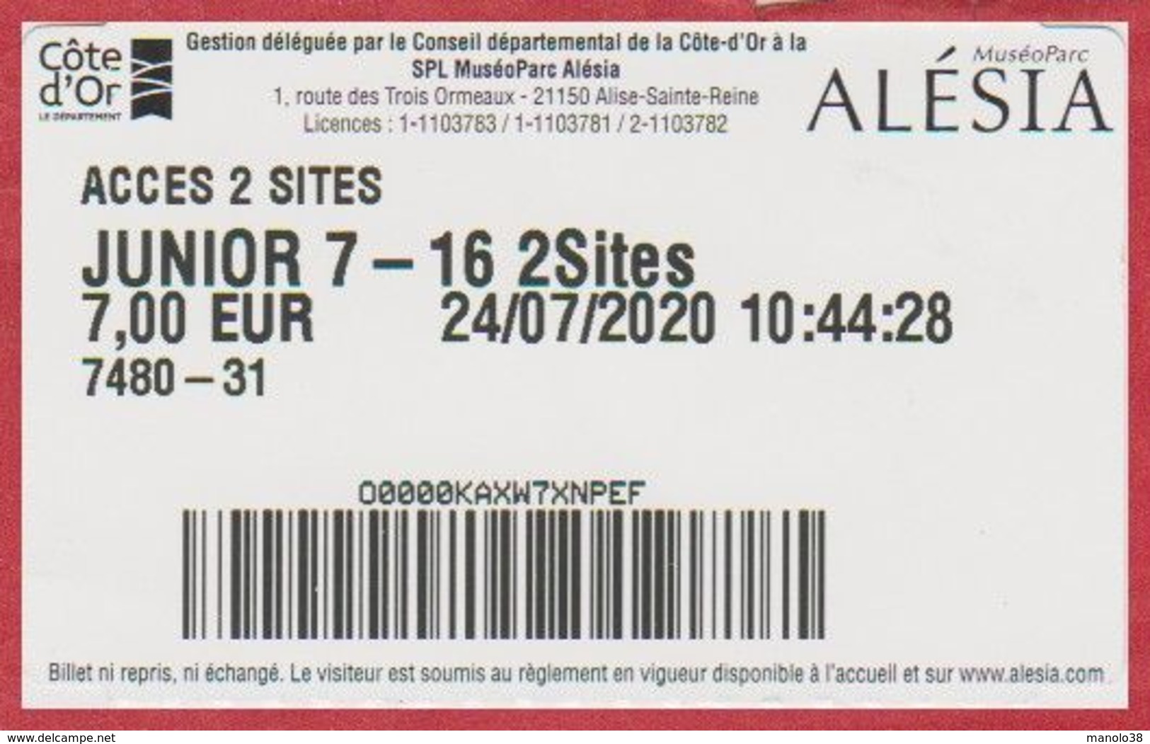 Alésia. Côte D'Or (21). Visuel: Le Site Archéologique De L'oppidum Gaulois. 2020 - Tickets - Entradas