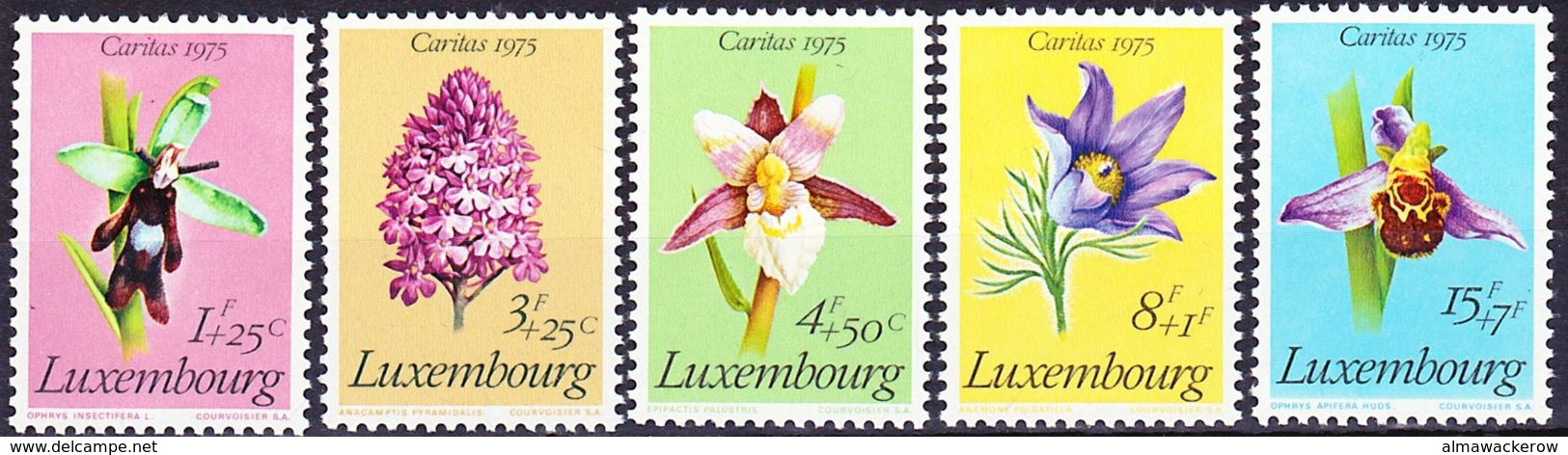 20-051 Luxemburg 1975 Flowers Caritas Complete Set Mi 914-918 MNH ** - 1965-91 Jean