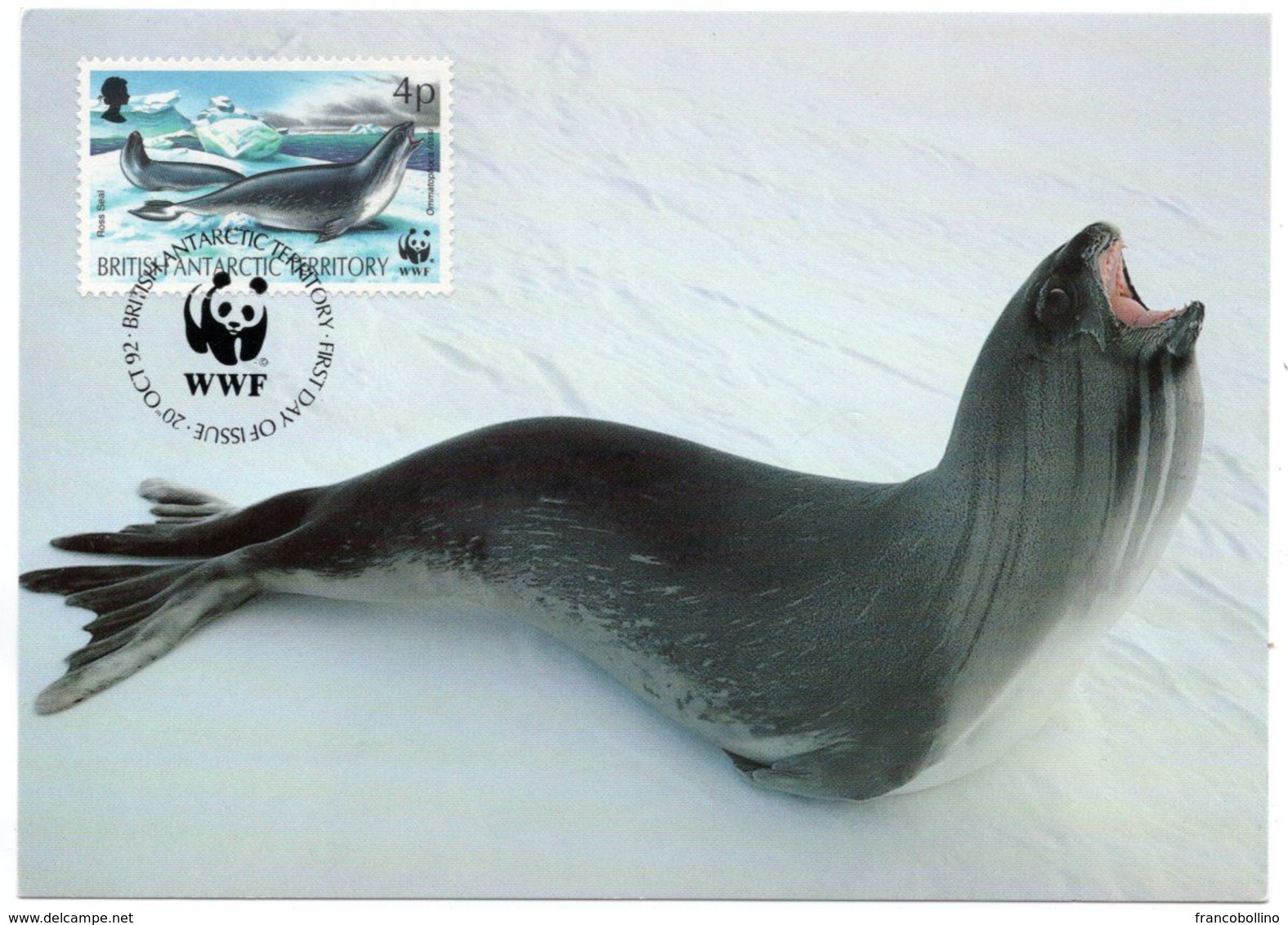 BRITISH ANTARCTIC TERRITORY - WWF MAXIMUM CARD 1992 / MARINE LIFE - ROSS SEAL 4p. - Maximum Cards