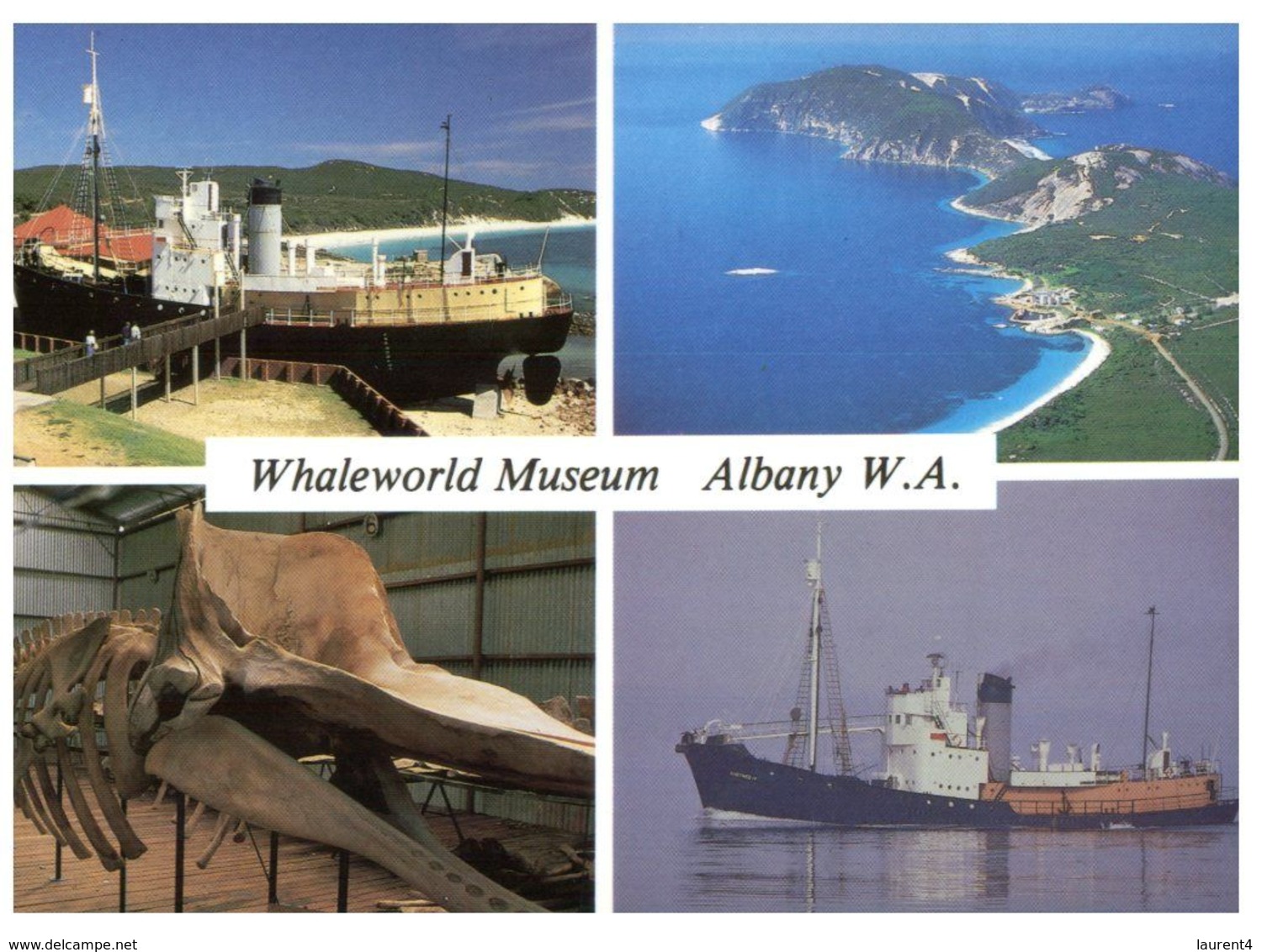 (H 15) Australia - WA - Albany Whale World - Albany