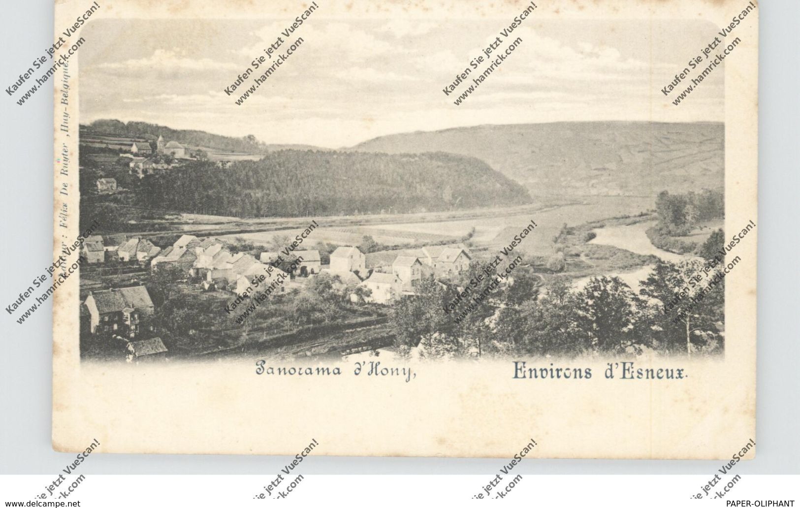 B 4130 ESNEUX - HONY, Panorama, Ca. 1900, Ed. De Ruyter, Hergestellt Bei Bernhoeft - Luxemburg - Esneux