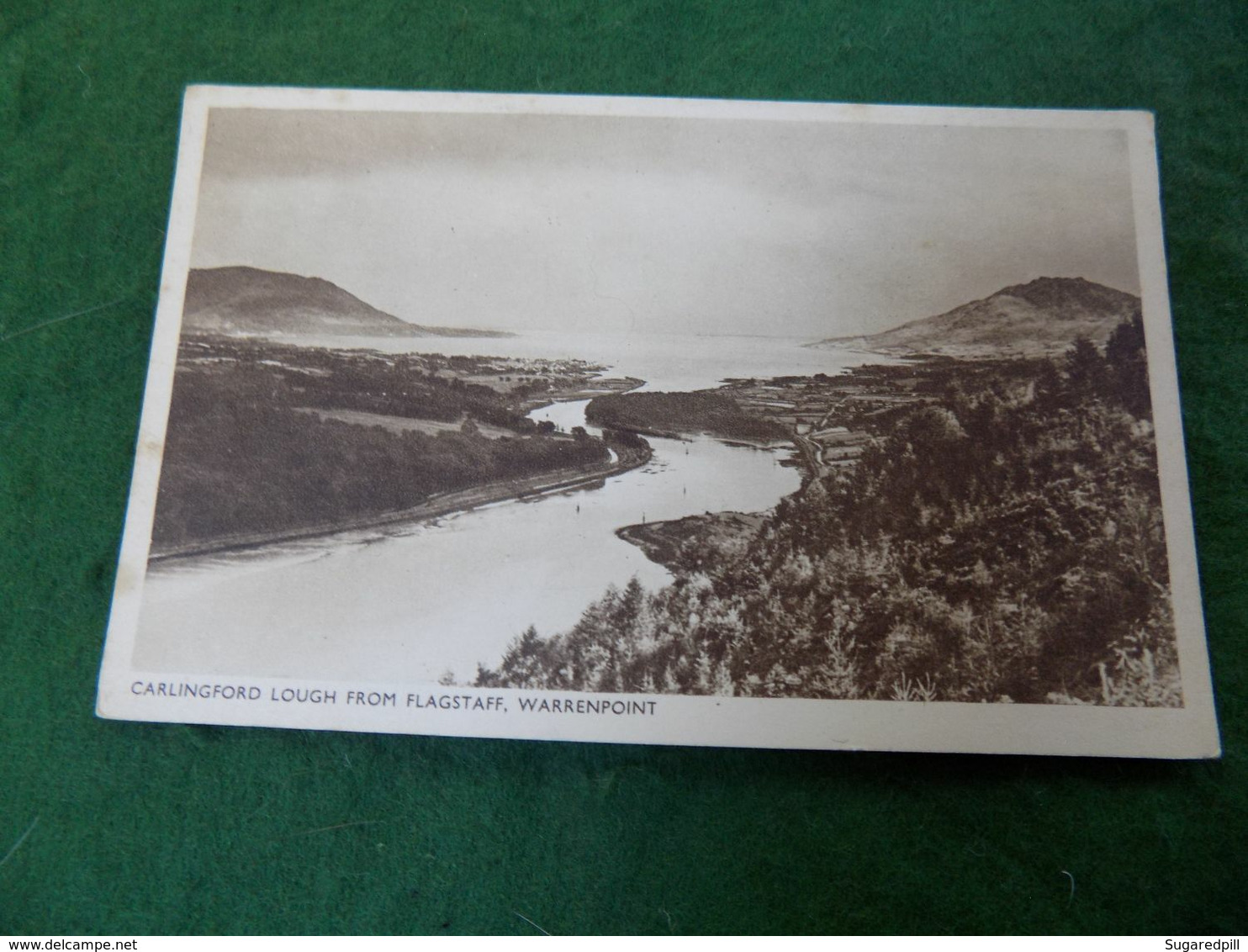 VINTAGE NORTHERN IRELAND: WARRENPOINT Carlingford Lough From Flagstaff Sepia - Down