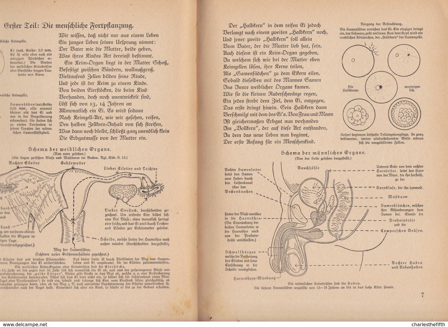 1935 Ratbüchlein In Reim Und Bild, Band 1: LEBENSANFANG - Elisabeth Behrend - BEBE Début De La Vie - BABY The Beginning - Other & Unclassified