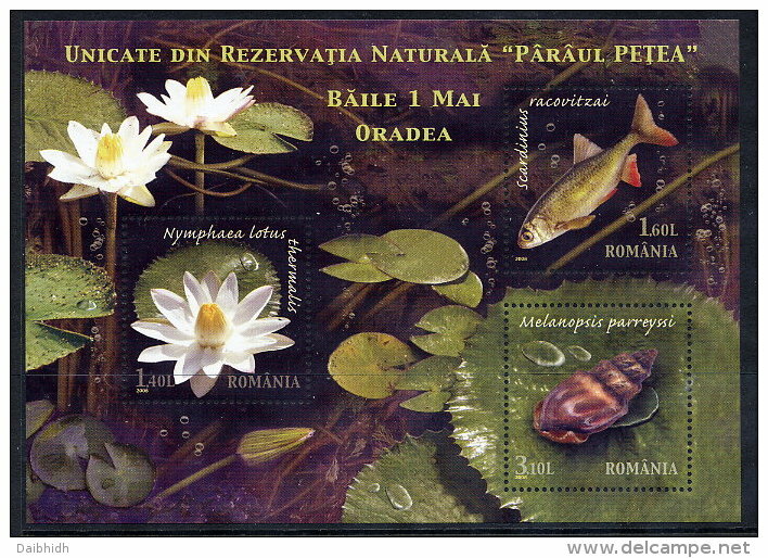 ROMANIA 2008 Petrea Creek Nature Reserve Block MNH / **.  Michel Block 440 - Nuevos