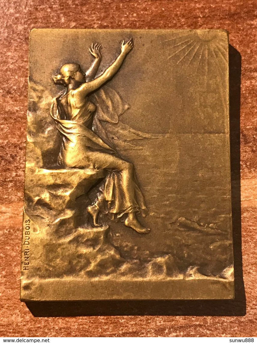 Superbe Médaille Bronze Plaque Henri Dubois Art Nouveau Attribuée à Fernand Soiron (1932 Auteur Compositeur Musique) - Profesionales / De Sociedad