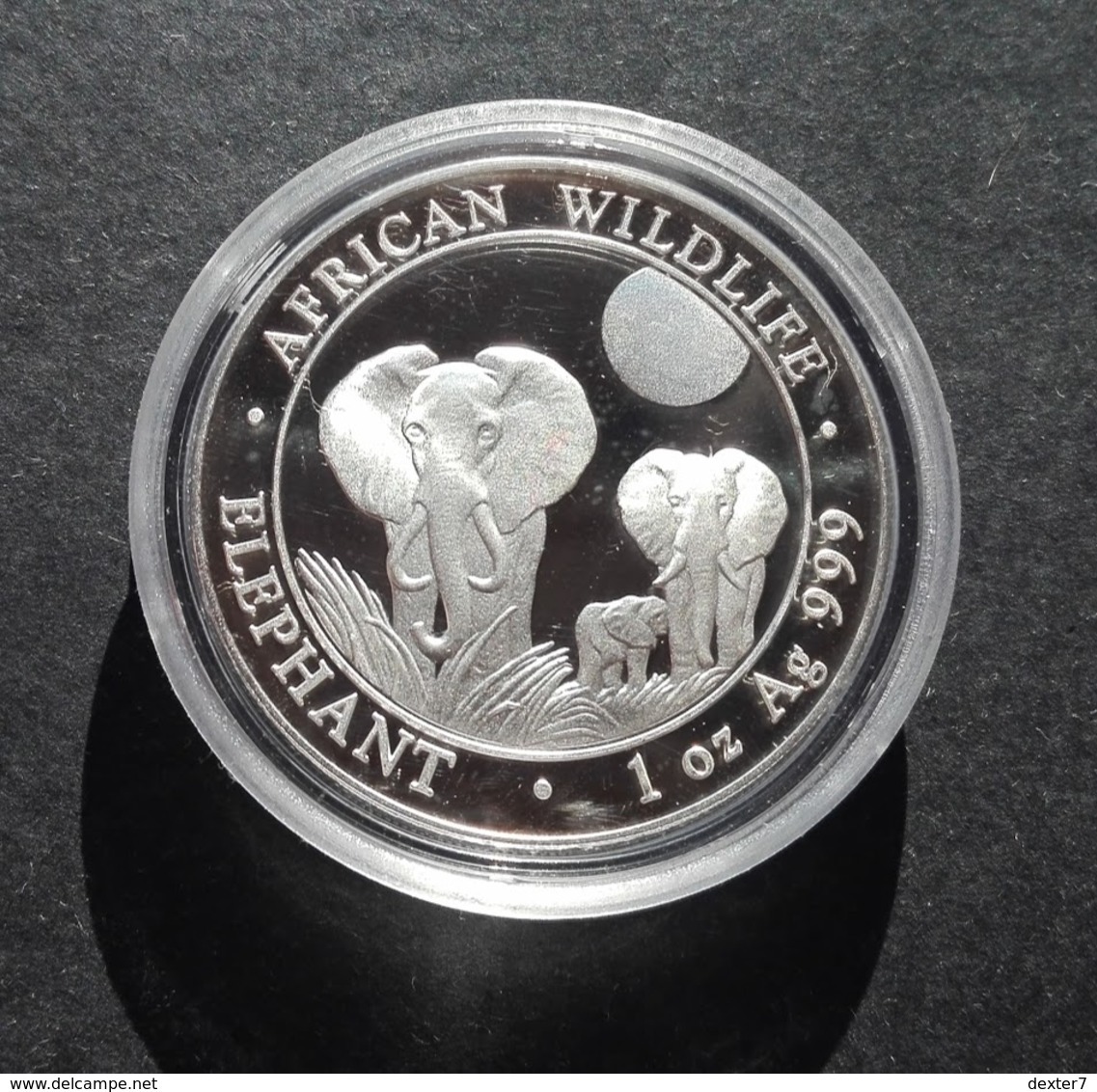 Somalia, Elephant 1 Oz 2014 Silver 999 Pure - 1 Oncia Argento Puro Bullion Elefante - Somalia