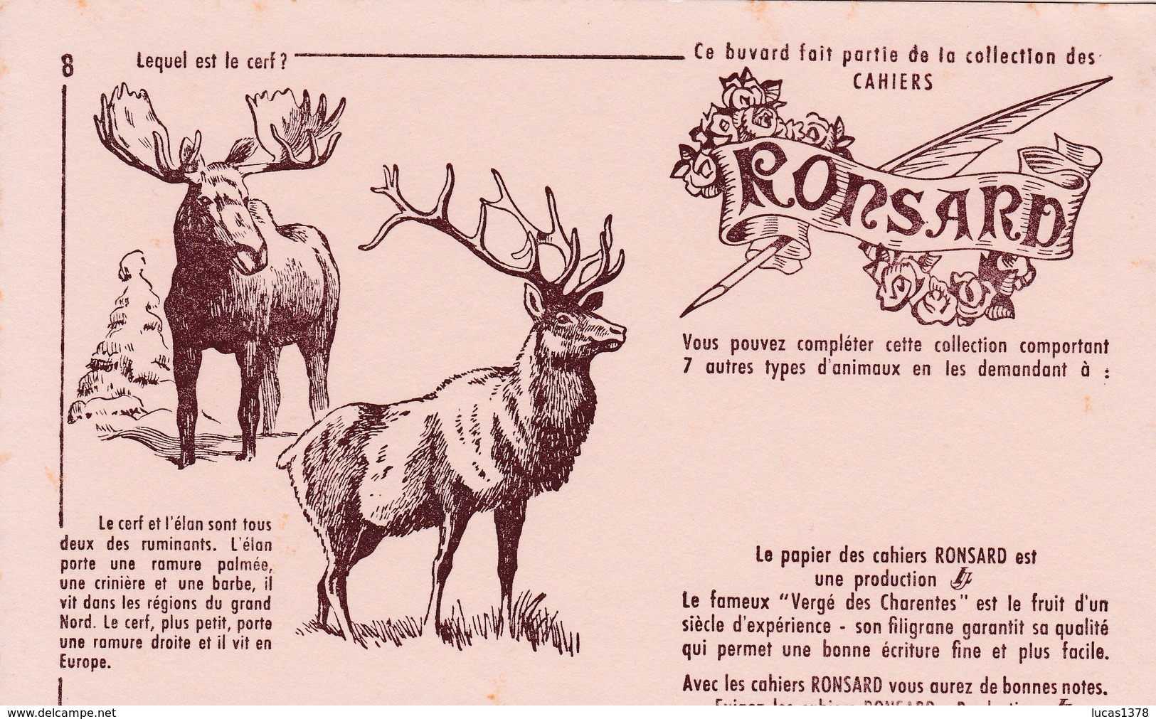 COLLECTION CAHIERS RONSARD / N 8 / CERF ELAN - Enfants