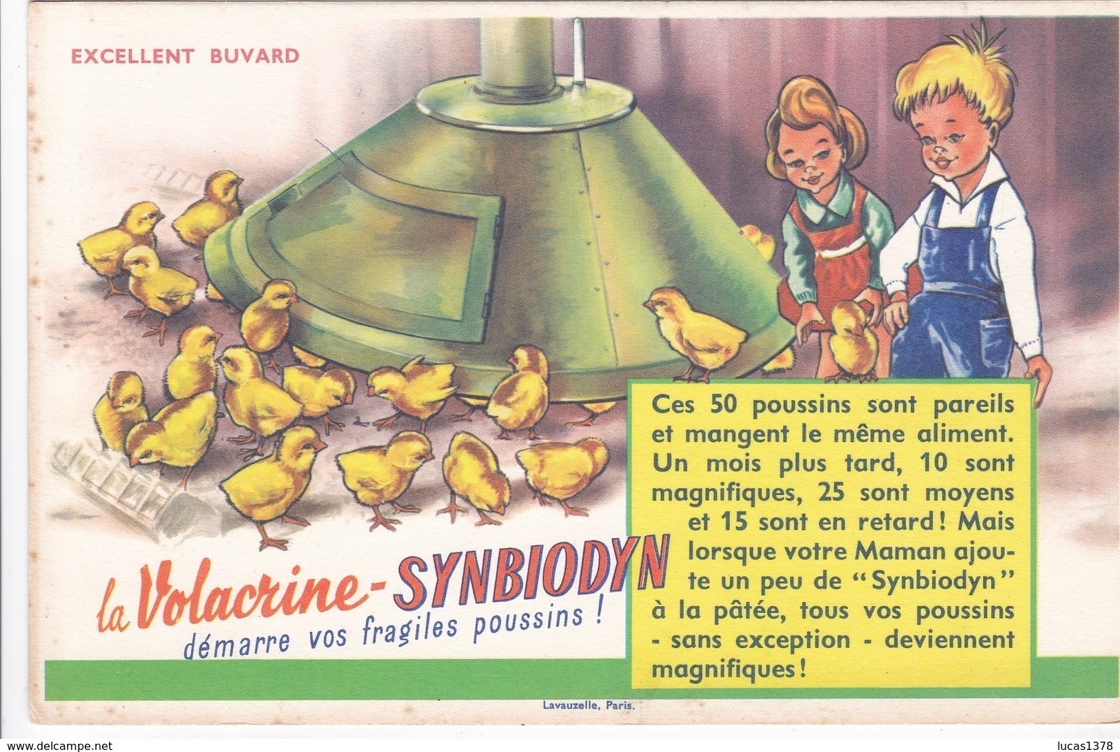 LA VOLACRINE SYNBIODYN DEMARRE VOS FRAGILES POUSSINS - Agriculture