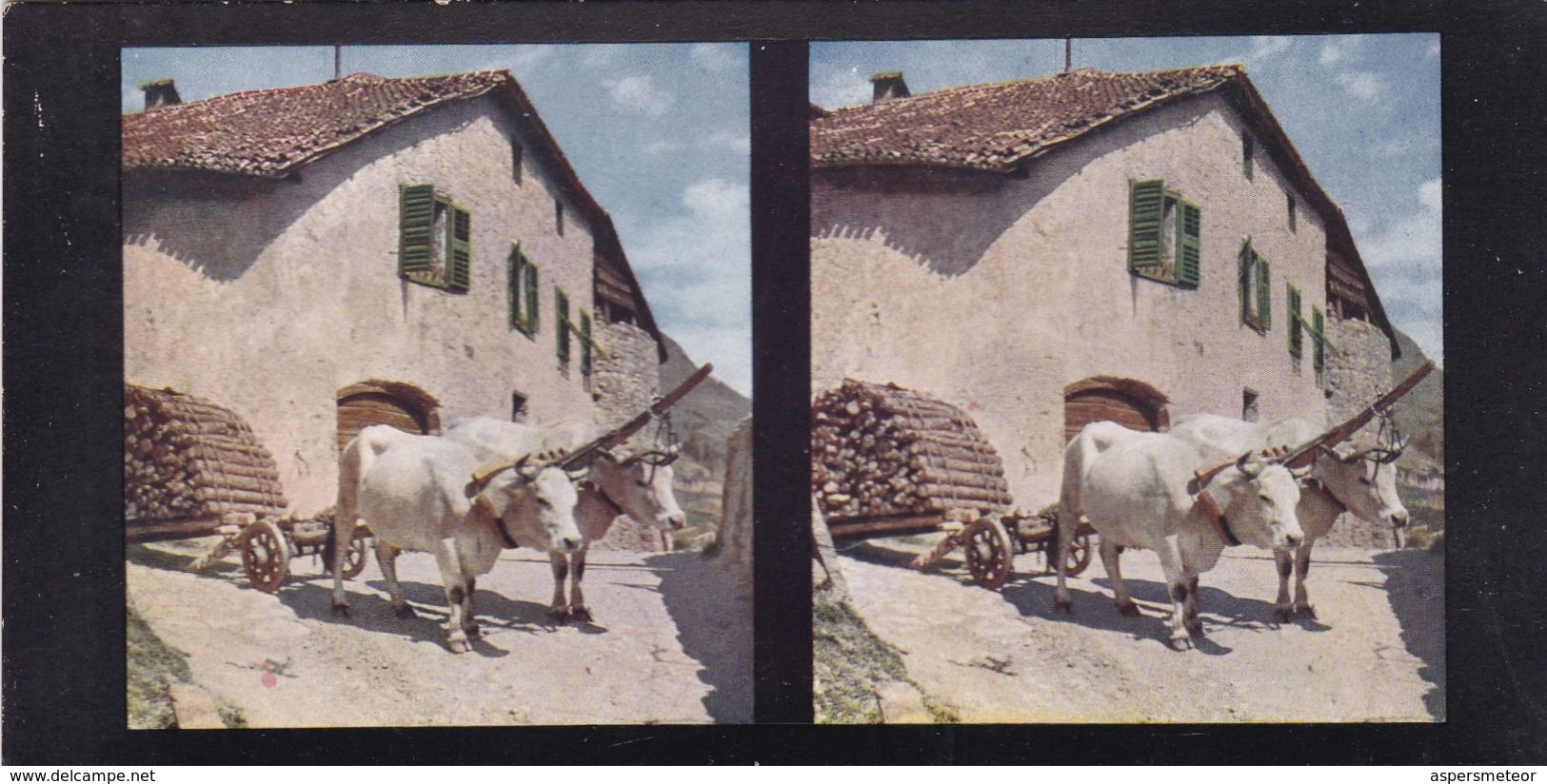 MERAN. FERME, AVEC ATTELAGE DE BOEUFS PRES DE GRATSCH. CHROMOPLAST-BILD SERIE 11 Nº 84. PHOTO STEREOSCOPIE.  -LILHU - Stereo-Photographie