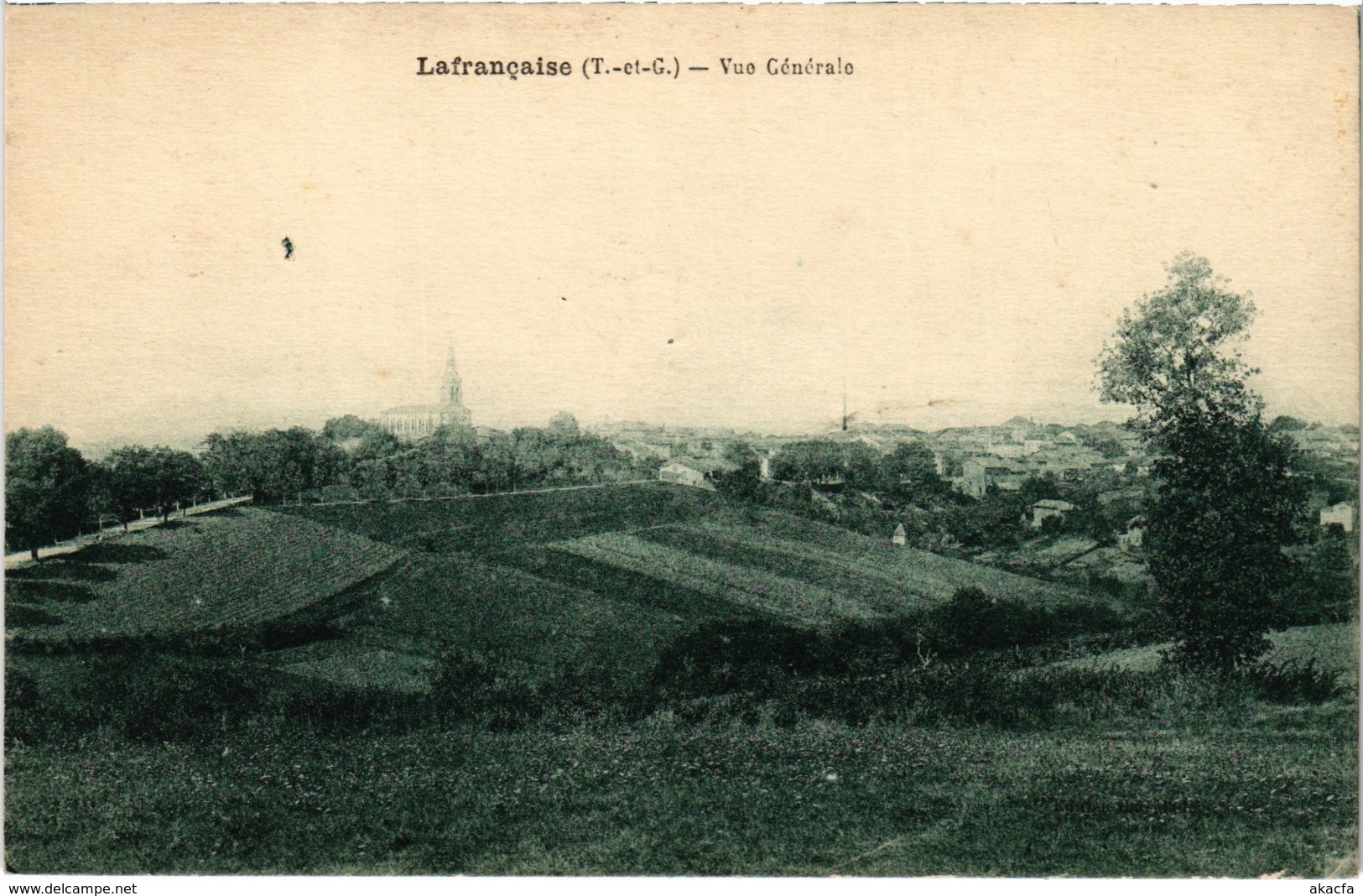 CPA LAFRANCAISE Vue Générale (89686) - Lafrancaise