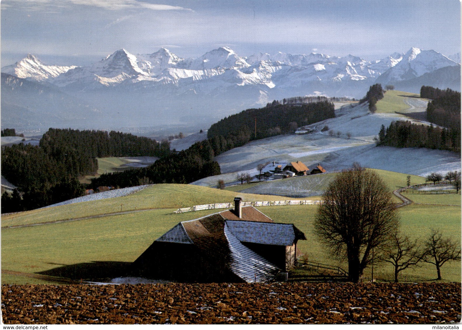 Riggisberg - Eiger, Mönch, Jungfrau (1049) - Riggisberg 