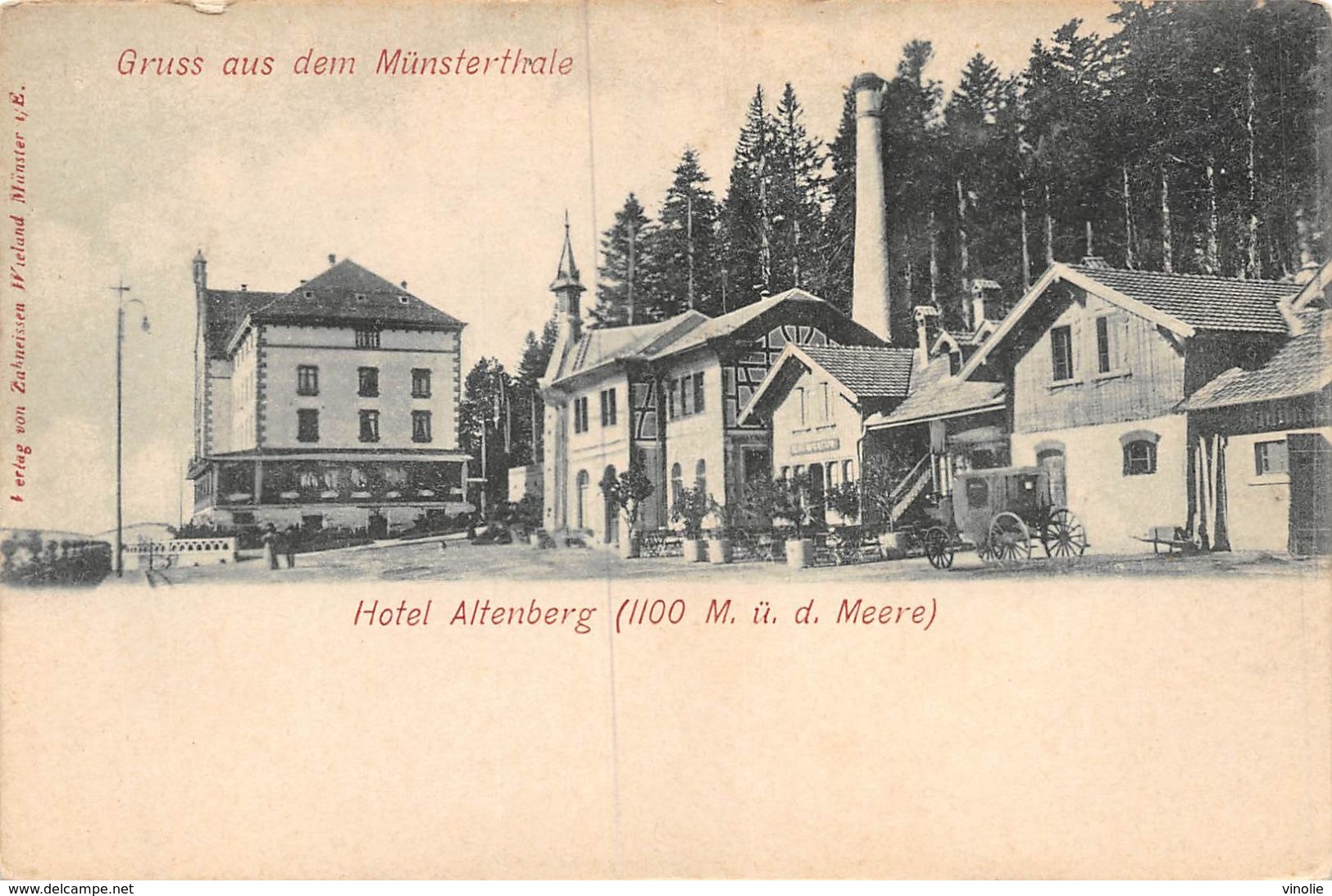 A-20-594 : GRUSS AUS DEM MÜNSTERTHALE. HOTEL ALTENBERG - Muenstertal