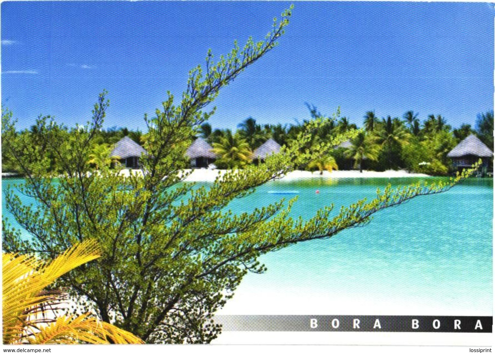 Bora Bora Island:Beach On A Motu - Polinesia Francese