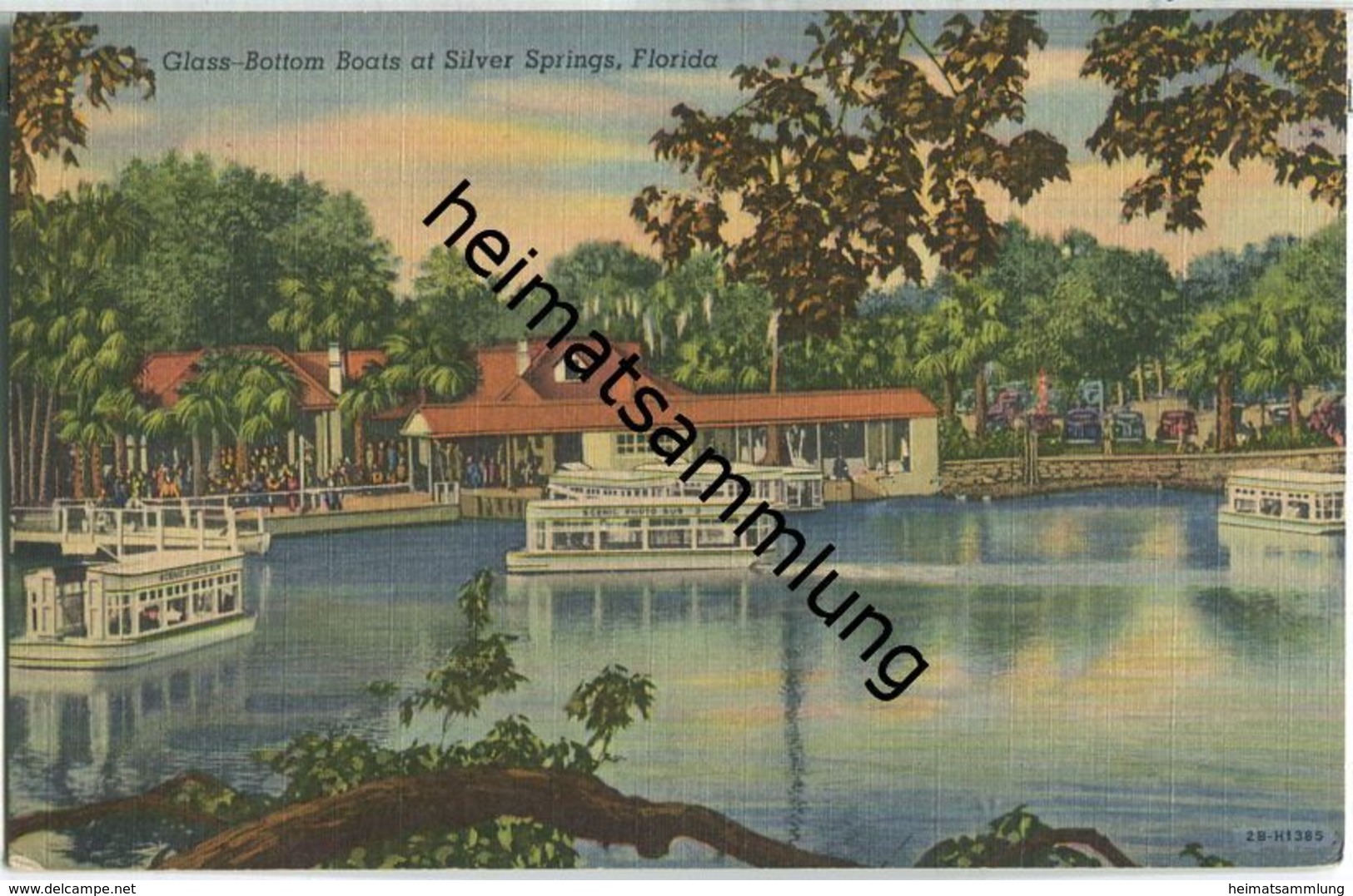 Florida - Silver Springs - Glass-Bottom Boats - Silver Springs