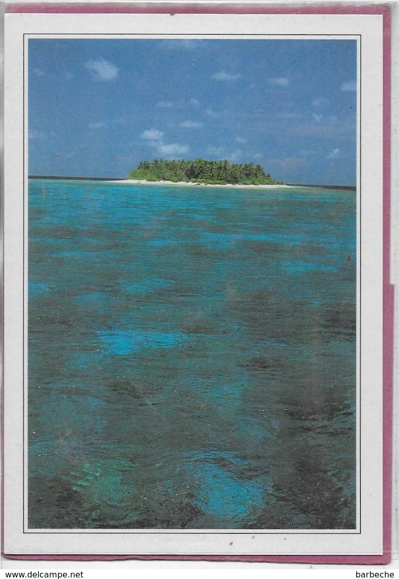 MALDIVES ISLANDS  Ile De Ihuru Vue D' Avion - Maldiven