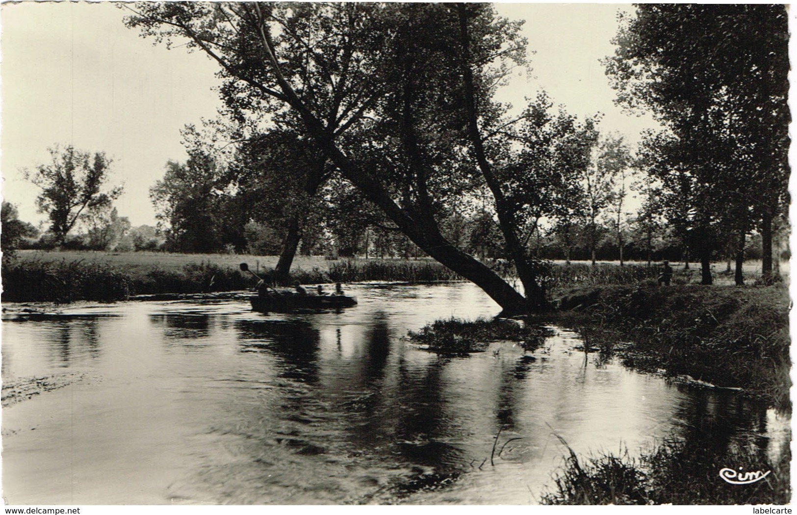 CHER 18.BRINON SUR SAULDRE BORDS DE LA SAULDRE - Brinon-sur-Sauldre