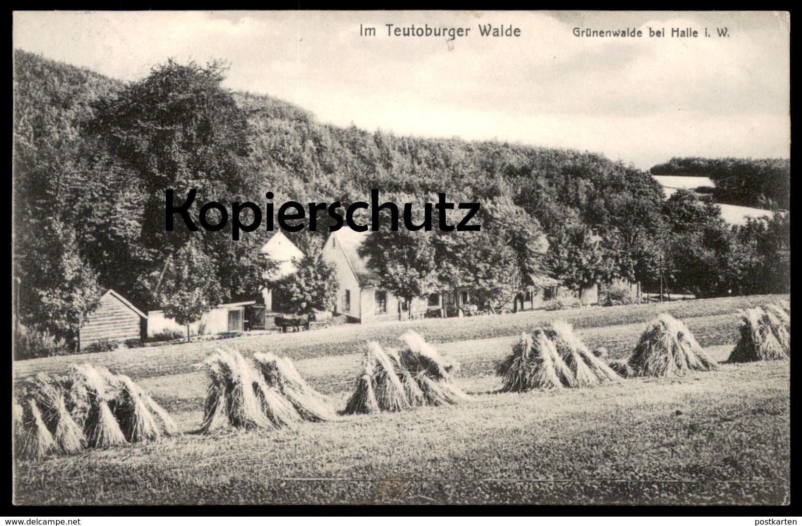 ALTE POSTKARTE GRÜNENWALDE BEI HALLE WESTFALEN HEUERNTE TEUTOBURGER WALDE WALD HEU Hay Foin Cpa Postcard Ansichtskarte - Halle I. Westf.