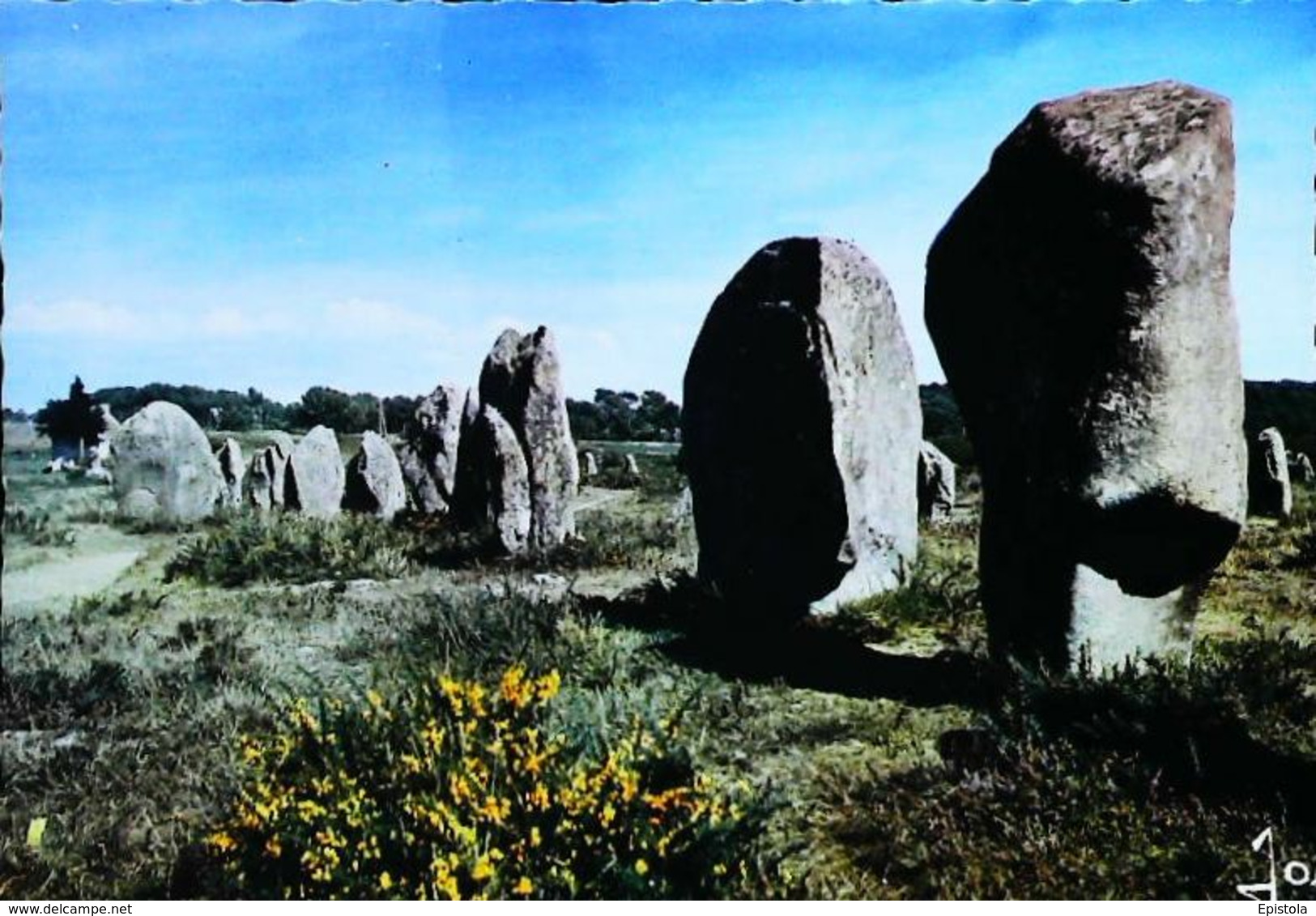 CPSM  Carnac Menhir  Kermario - Dolmen & Menhirs