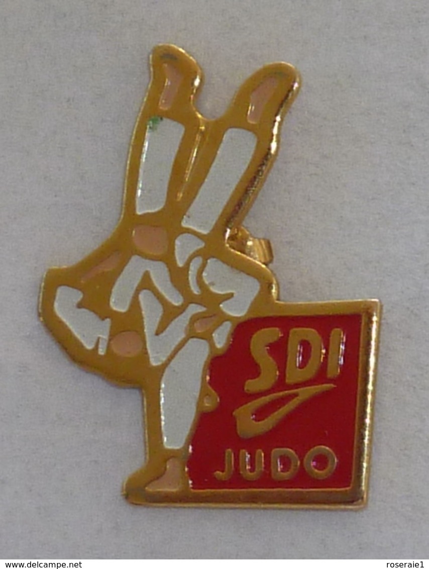 Pin's S.D.I. JUDO - Judo