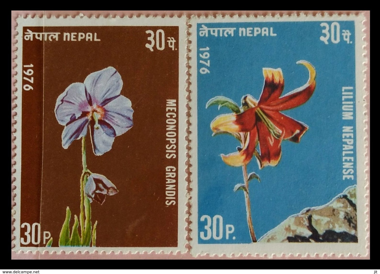 115. NEPAL (30P) 1976 (02 DIFF) STAMP FLOWERS . MNH - Nepal