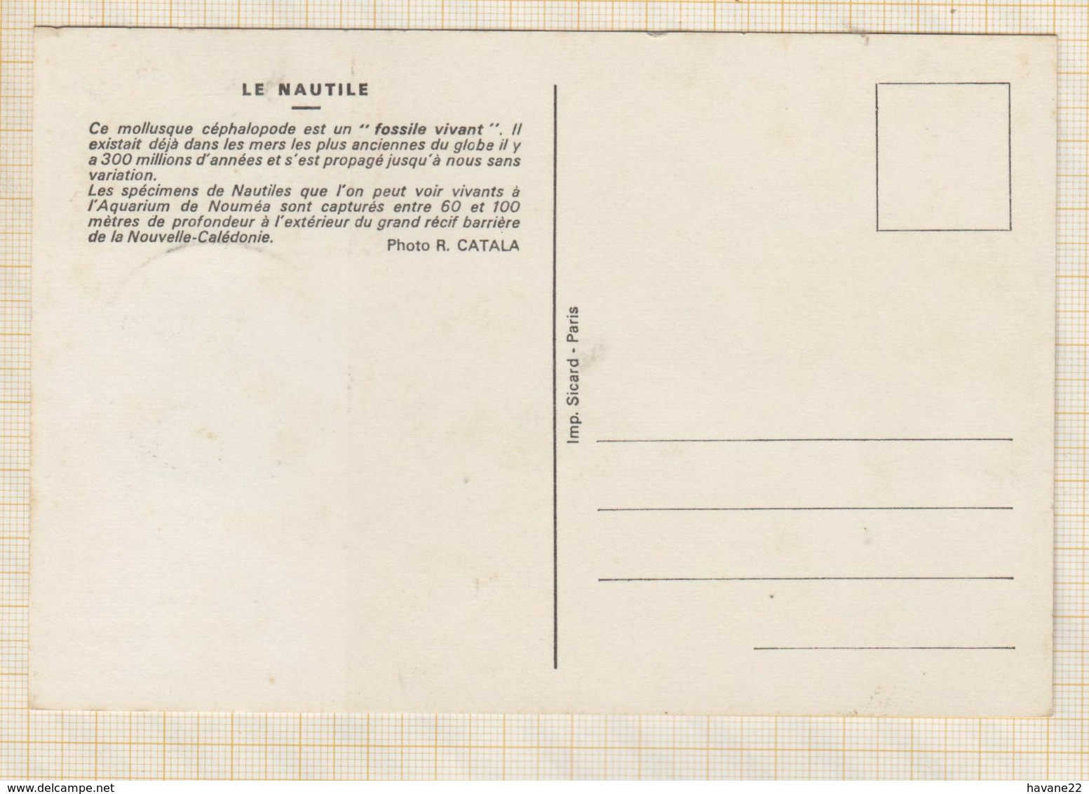 9/353 Carte Maximun 1ER JOUR NOUMEA NAUTILE AQUARIUM 1962 - 1960-1969