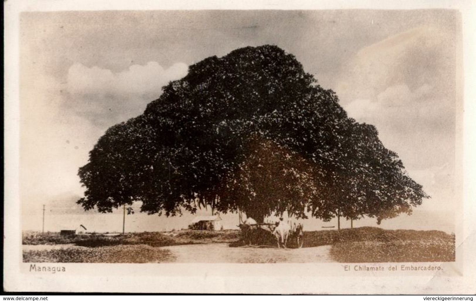 ! Alte Fotokarte,1929, Managua,  Nicaragua, Photo - Nicaragua