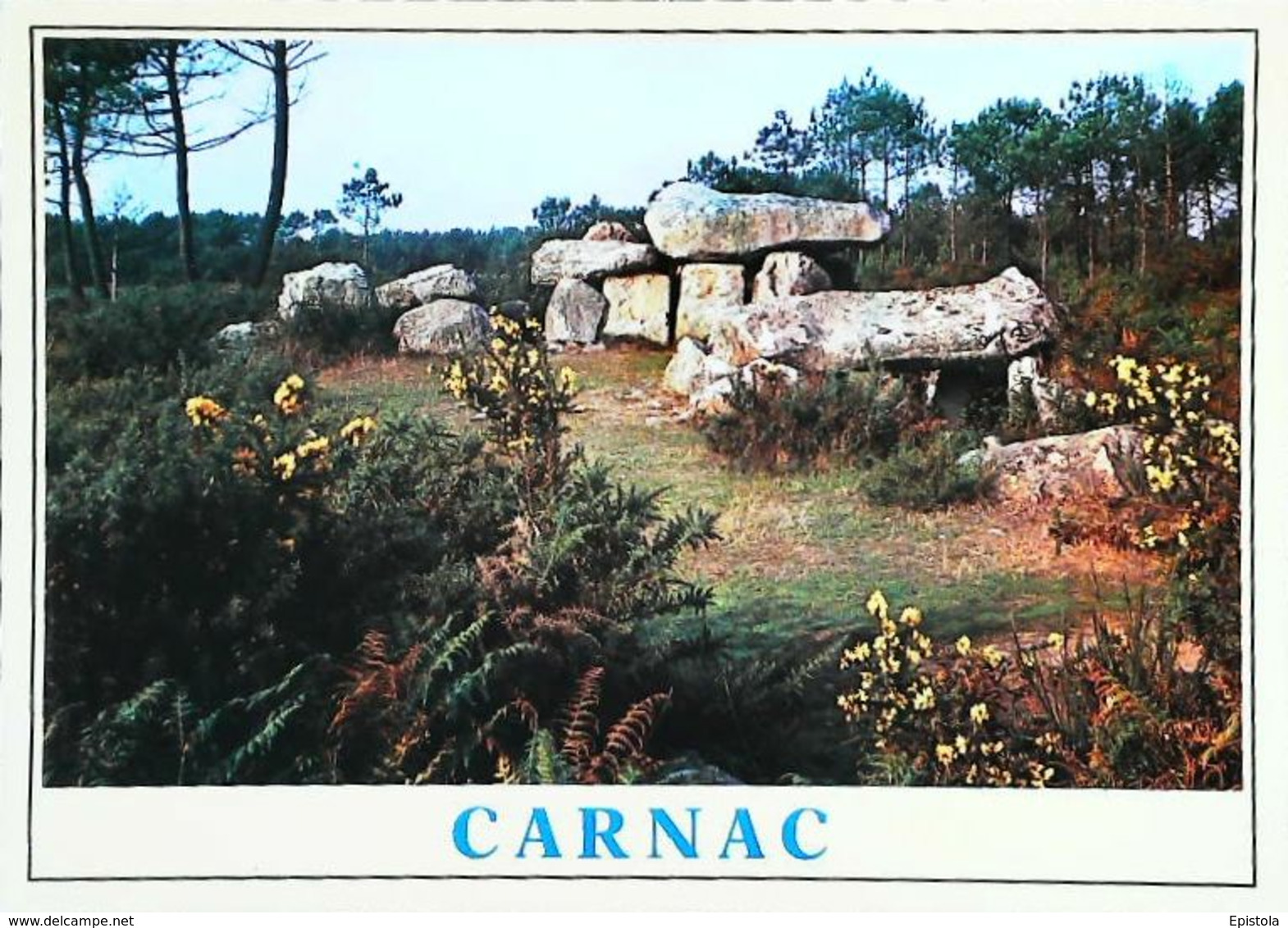Carnac Le Domen De Mané Kerioned - Dolmen & Menhirs