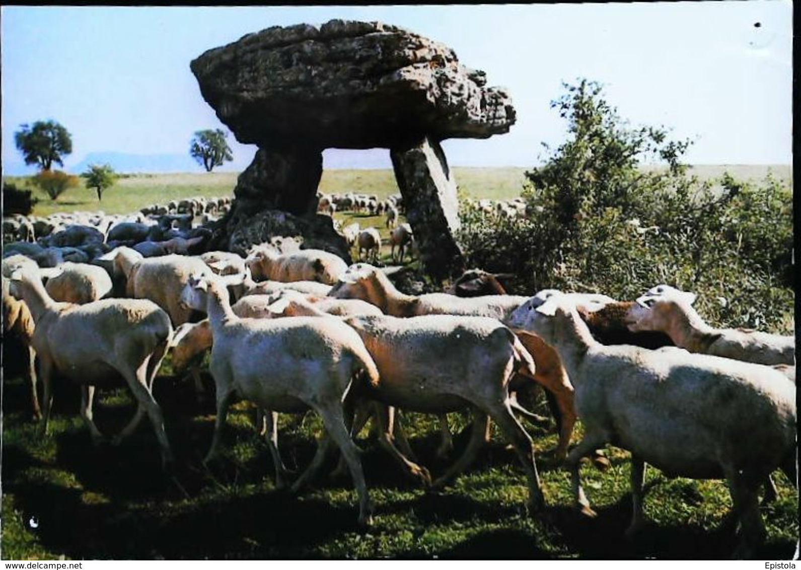 CPSM Dolmen De Rocquefort Brebis - Dolmen & Menhirs