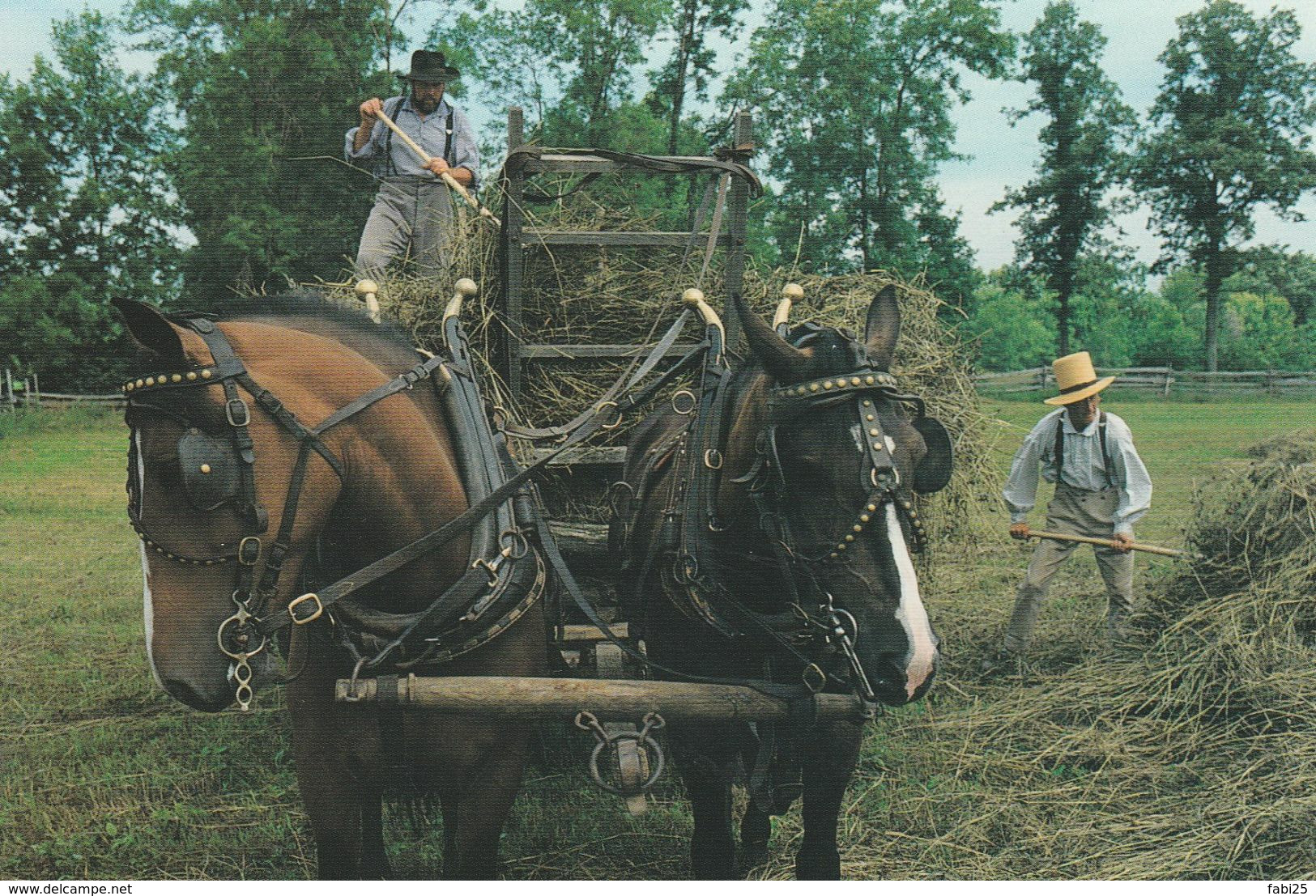 AGRICULTURE ATTELAGE RAMASSAGE DU FOIN - Cultures