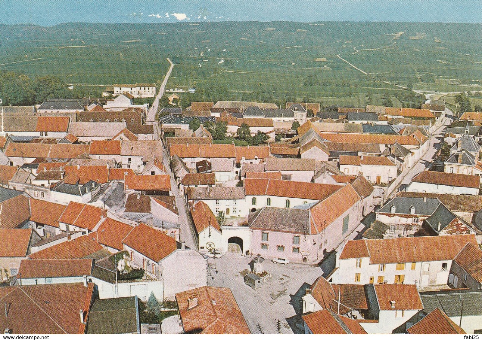 AMBONNAY VUE GENERALE AERIENNE LA PLACE DE LA FONTAINE - Autres & Non Classés