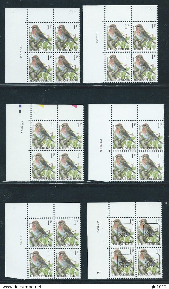 Buzin Nr 2457** 6 Verschillende Datums In Blok Van 4 - 1985-.. Pájaros (Buzin)