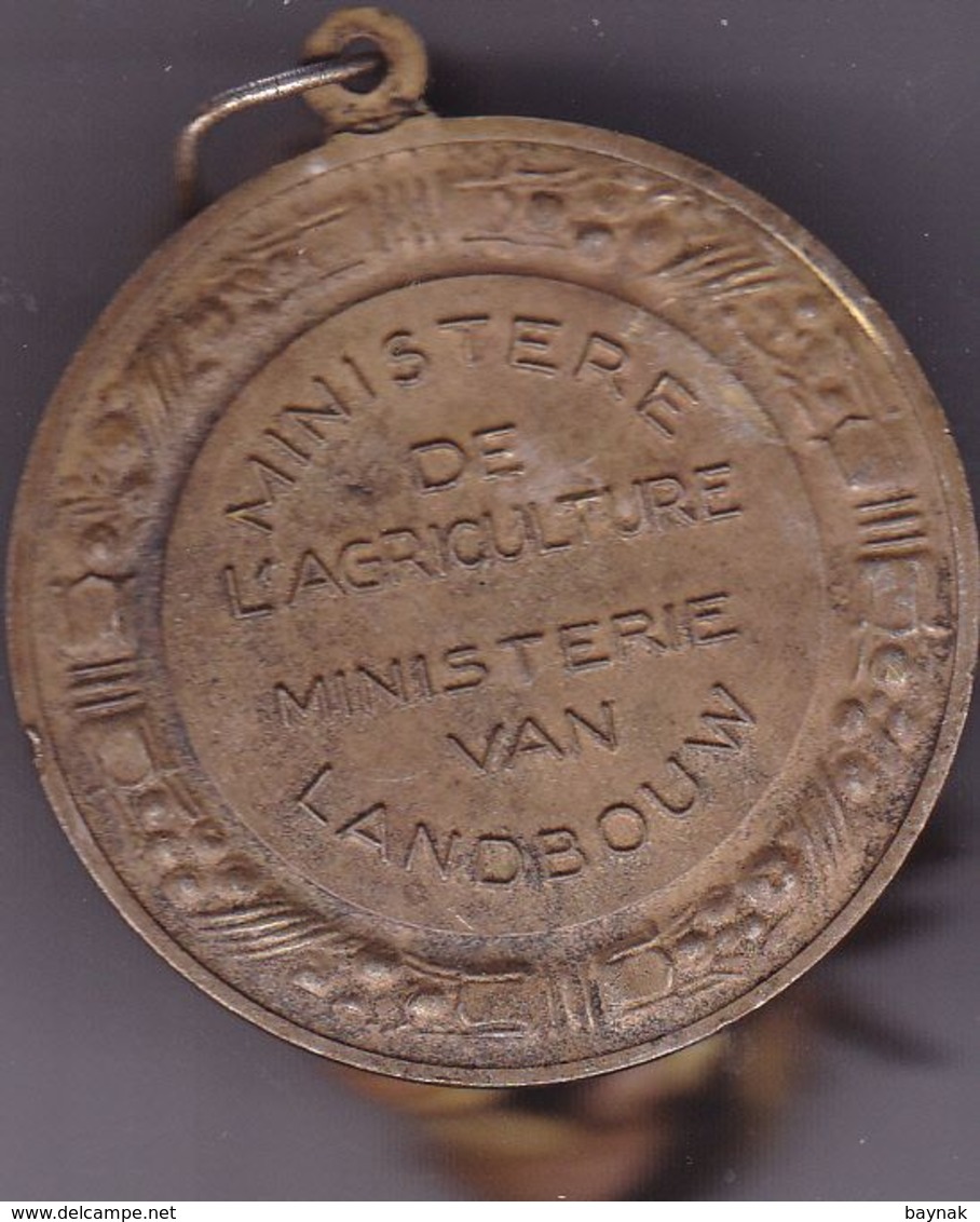 BELGIE  --  MEDAL   --  MINISTERIE VAN LANDBOUW  --  DIAMETER 45 Mm  --  40 Gramm - Autres & Non Classés