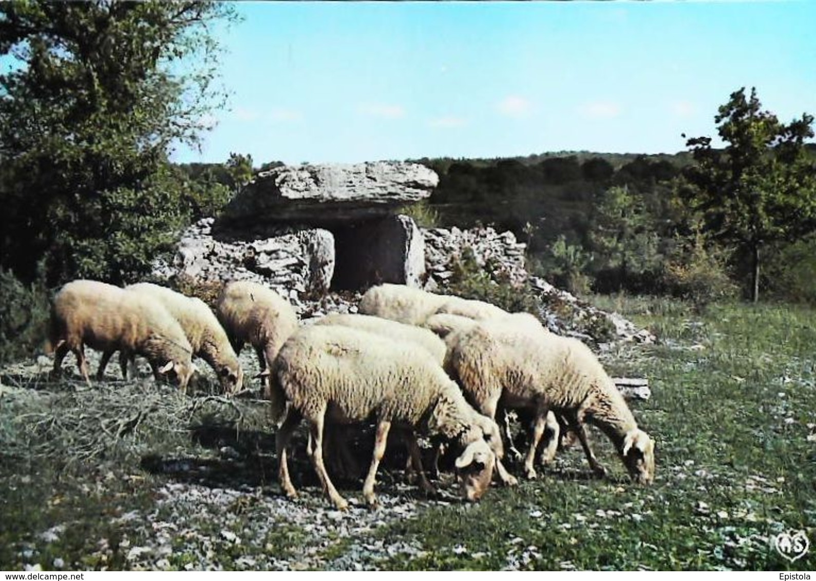 Le Percy Moutons Au Paturage  Dolmen - Dolmen & Menhirs