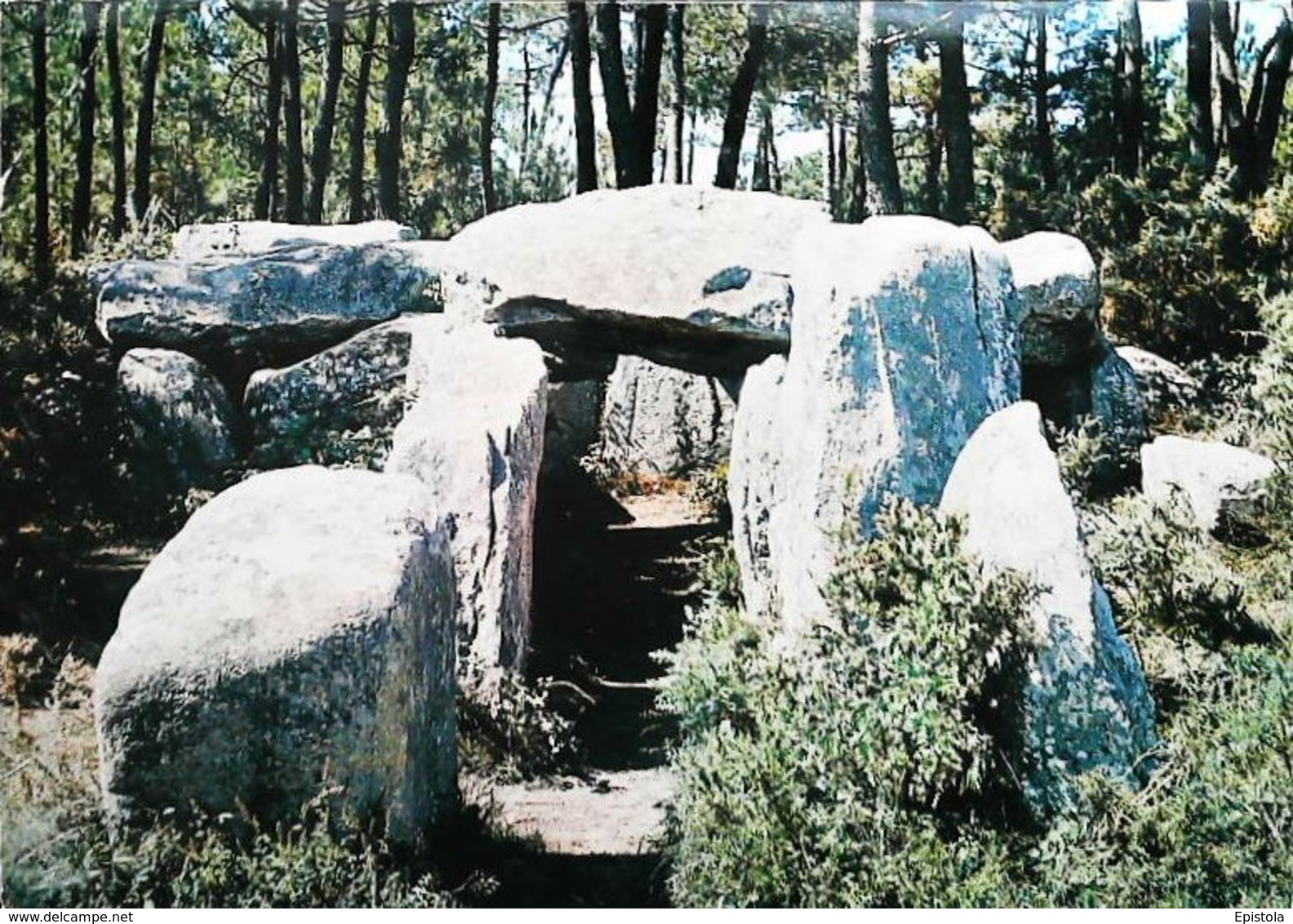 La Bretagne   Dolmen De Crucuno 1970 - Dolmen & Menhirs