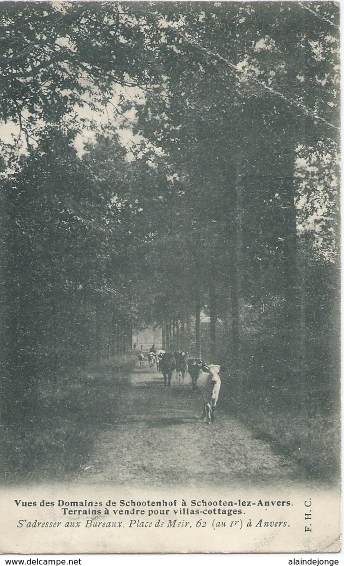 Schoten - Vues Des Daomaines De Schootenhof à Schooten-lez-Anvers - 1926 - Schoten