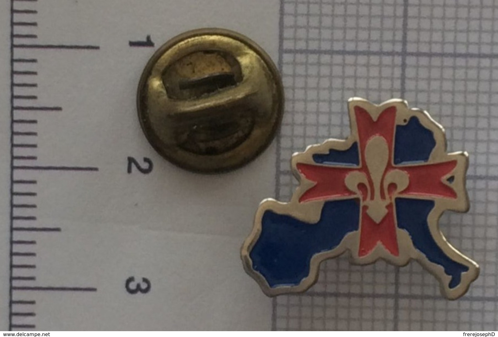 Pin's Scout D'Europe: La Croix Sur Fond De Continent Européen. - Scoutisme