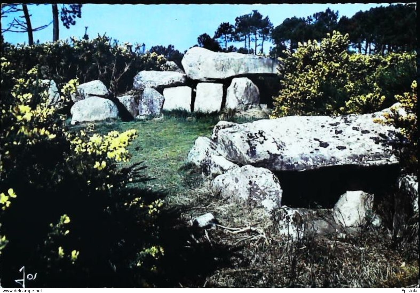 CPSM  Carnac Dolmen De Mané Kerioned - Dolmen & Menhirs