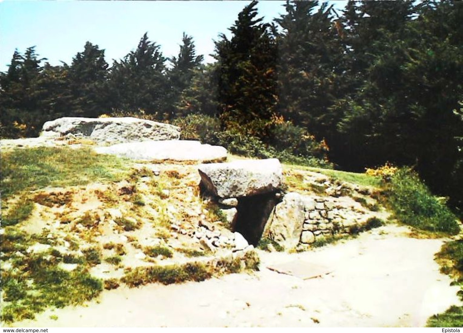 CPSM  Carnac Locmariaquer  Table Des Marchands - Dolmen & Menhirs