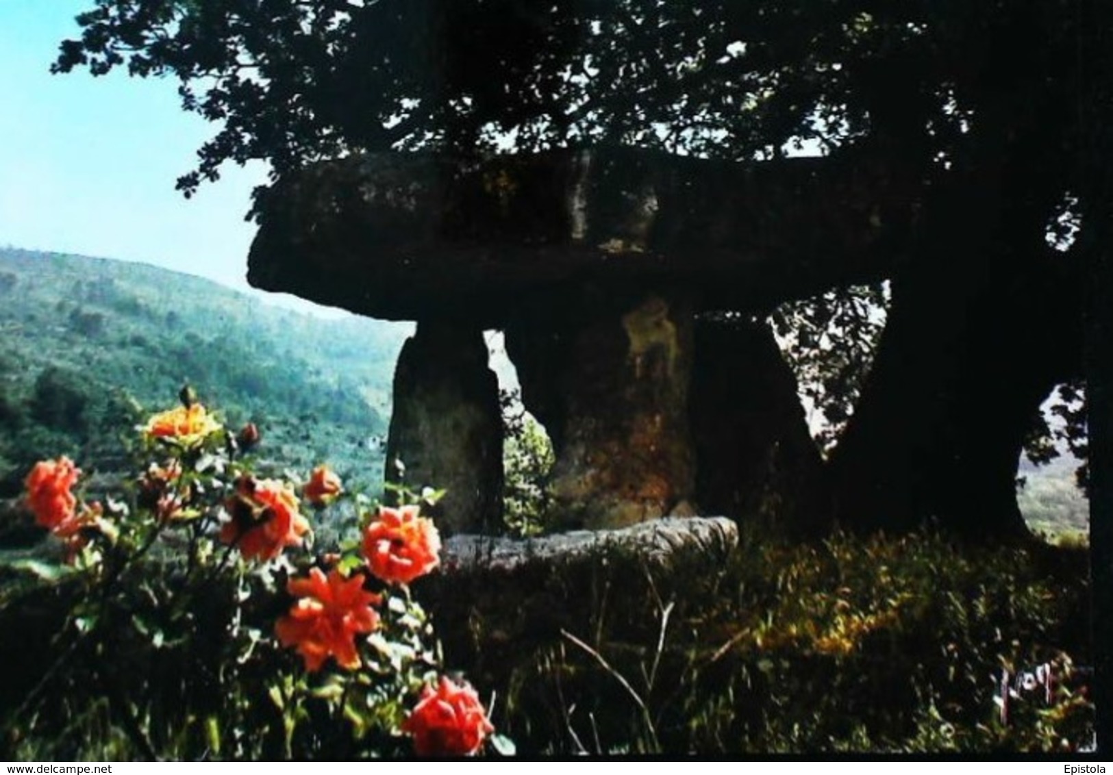 CPSM  Draguignan  La Pierre De La Fée   Dolmen - Dolmen & Menhirs