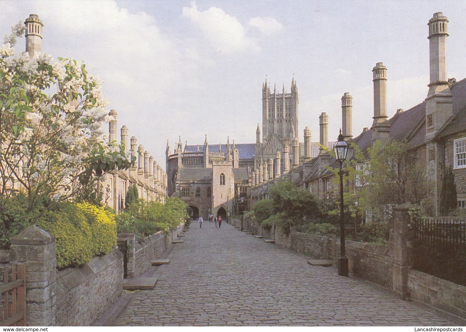Postcard Vicars Close Wells Somerset Oldest Complete Street In Europe My Ref B24433 - Wells