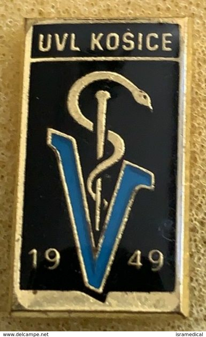 SLOVAKIA KOSICE UNIVERSITY VETERINARY DEPARTMENT BADGE - Medizin