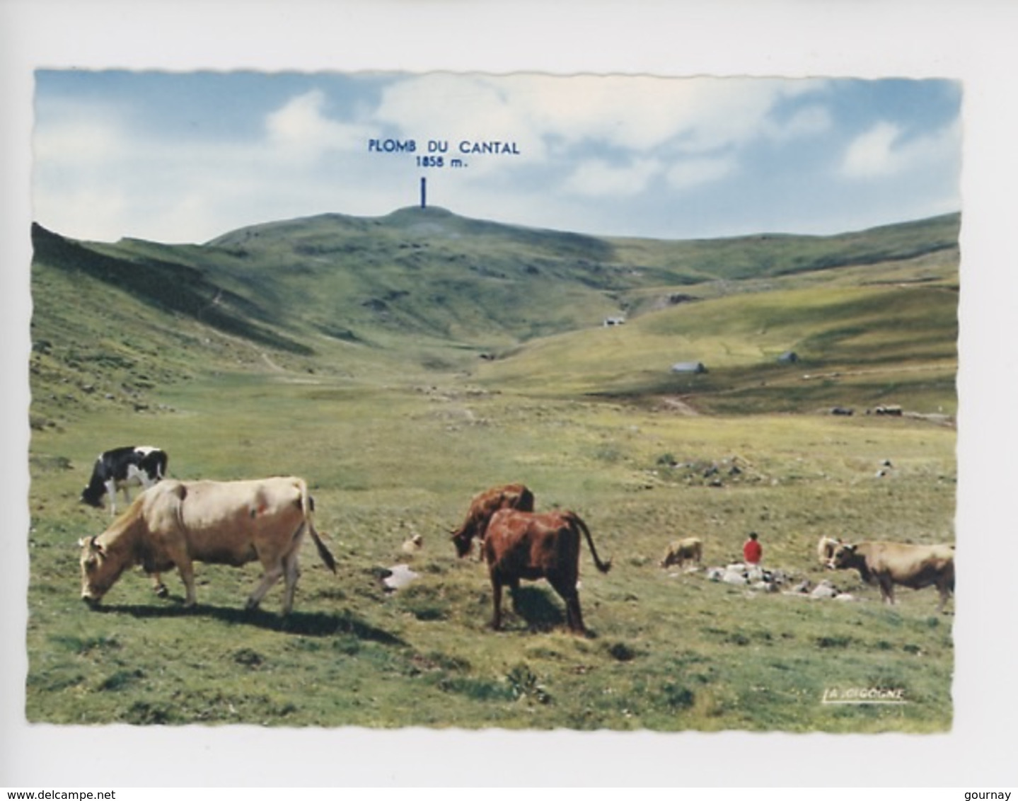 Plomb Du Cantal, Vache Vaches Au Pays Vert En Haute Auvergne (cp Vierge N°15/138/38 La Cigogne) - Vaches