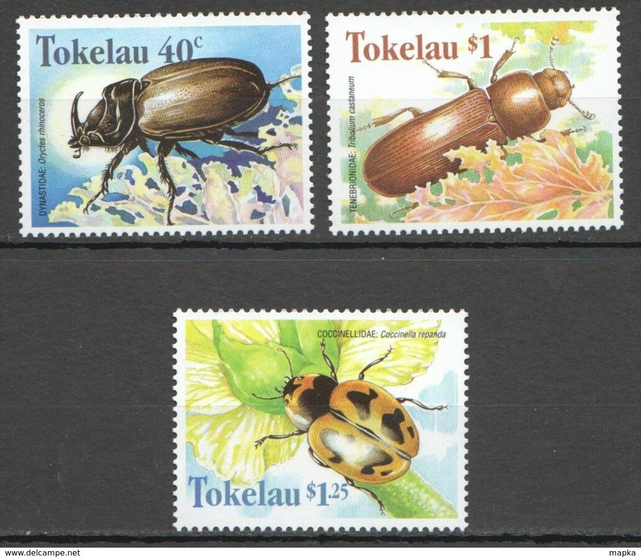 A469 1998 TOKELAU FLORA & FAUNA INSECTS BEETLES 3ST MNH - Andere & Zonder Classificatie