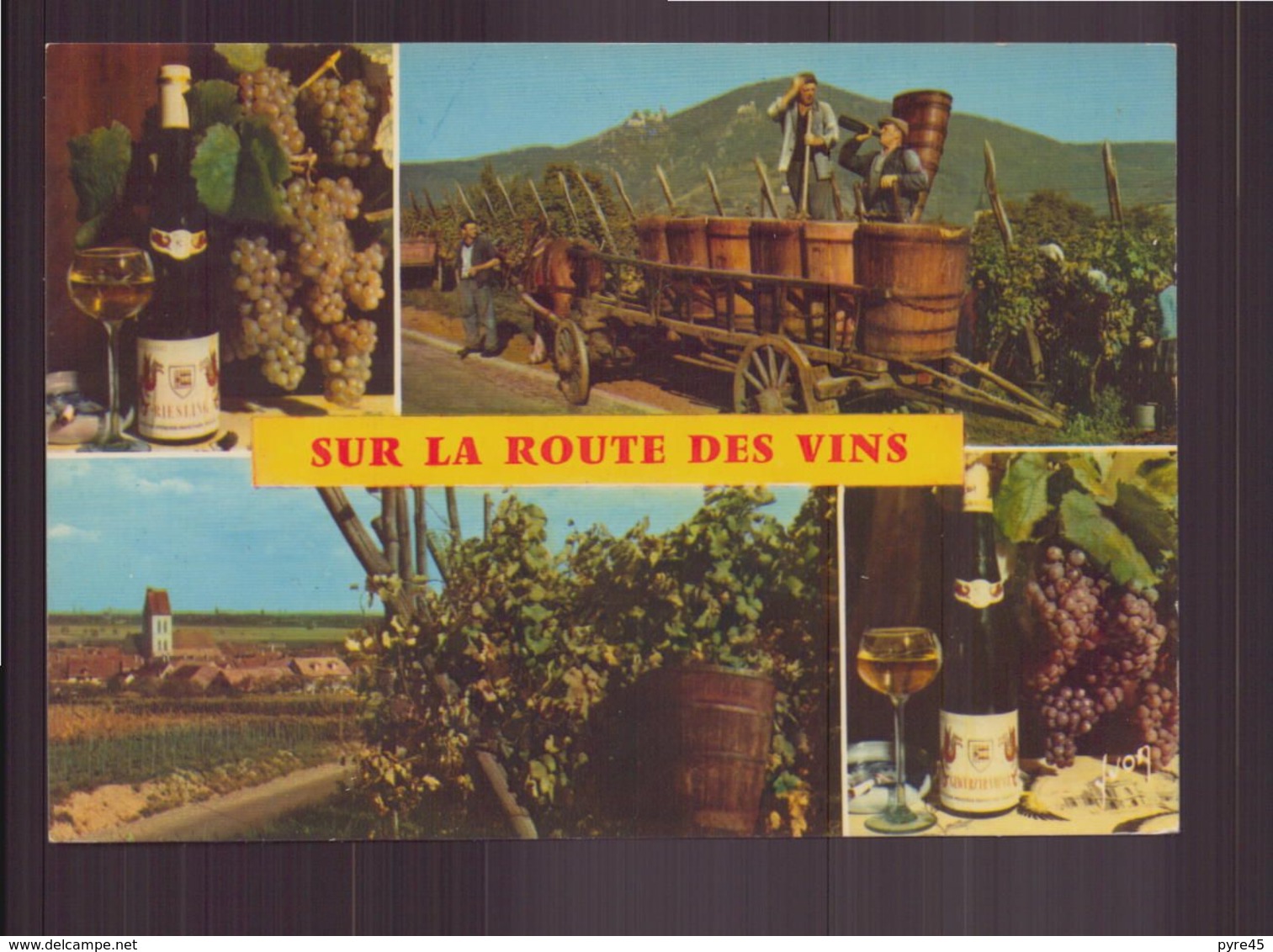 SUR LA ROUTE DES VINS - Vignes