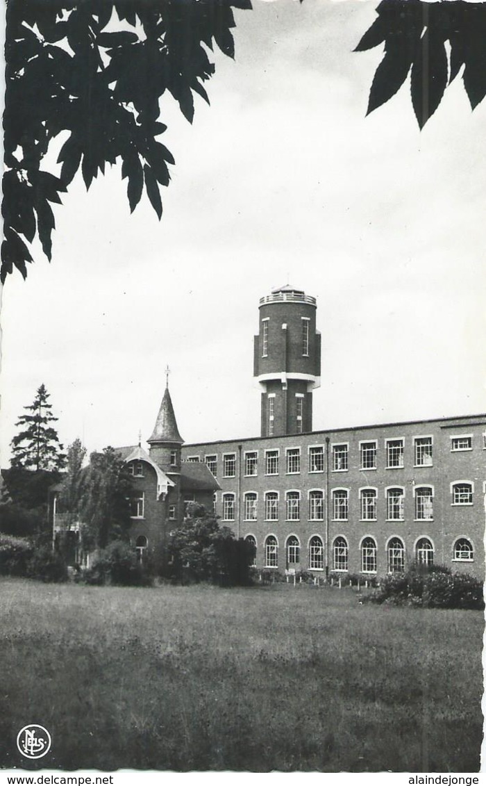 Lummen - Vreebos - 1963 - Lummen