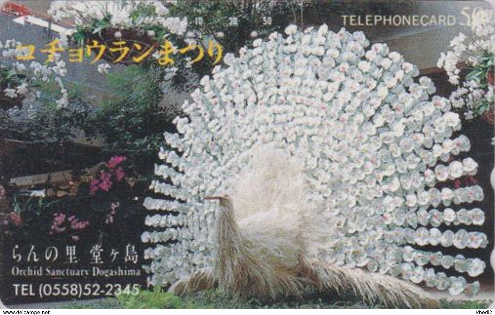 Télécarte JAPON / 290-37937 - OISEAU - PAON En Orchidée - PEACOCK BIRD In Orchid JAPAN Phonecard - PFAU Vogel - 5105 - Gallinacés & Faisans